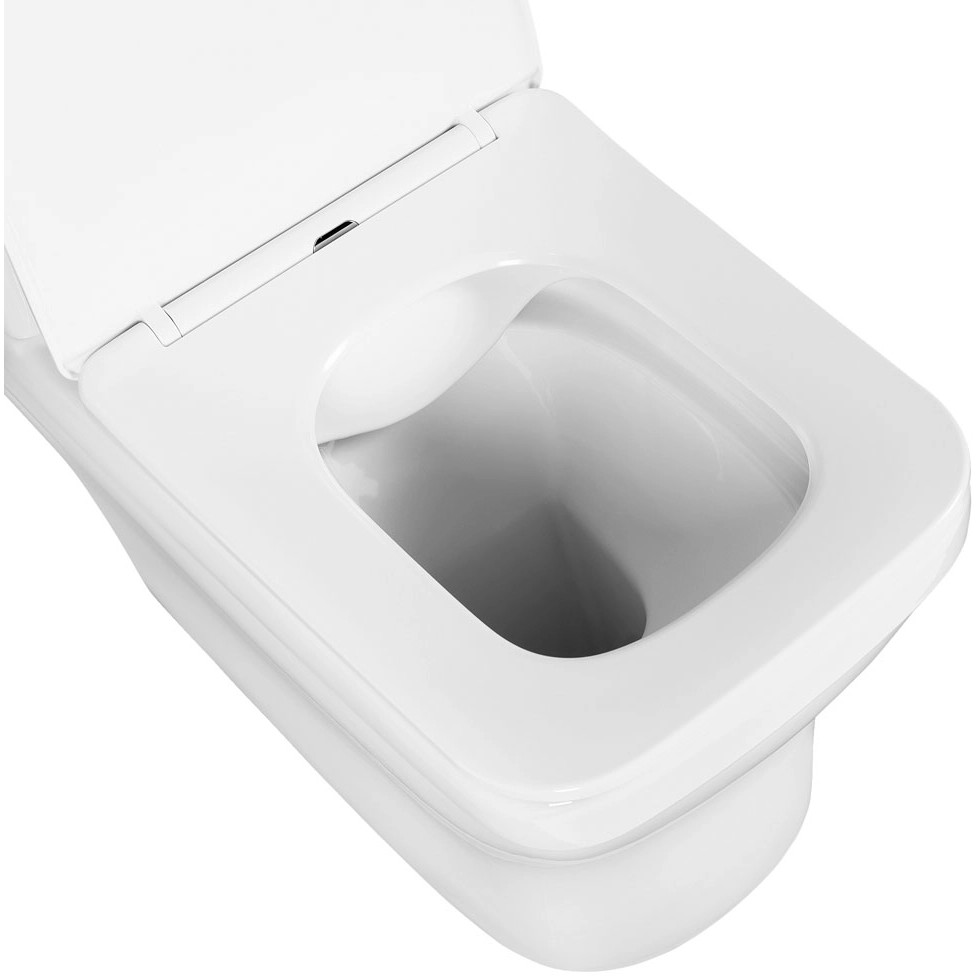 Купить Унитаз-компакт напольный с бачком и сиденьем микролифт Aquatek Амадео AQ2914-00 безободковый в Москве с доставкой Унитаз-компакт напольный с бачком и сиденьем микролифт Aquatek Амадео AQ2914-00 безободковый