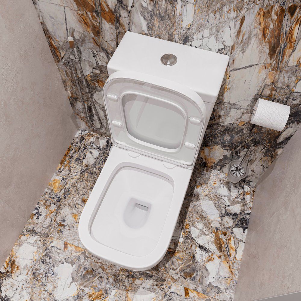 Купить Унитаз-компакт DIWO Коломна 0421 с микролифтом в Москве с доставкой Унитаз-компакт DIWO Коломна 0421 с микролифтом