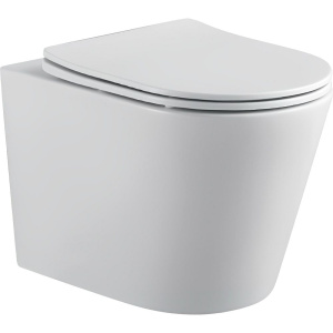 Унитаз подвесной Акватек Вега AQ1904-00 безободковый