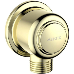 Шланговое подключение Aquatek Классик AQ2461PG полированное золото