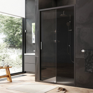 Душевая дверь в нишу AM.PM Gem Solo W90G-110-1-195BG 110 см