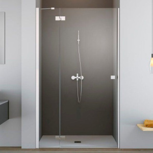 Душевая дверь в нишу Radaway Essenza New DWJ 100 L