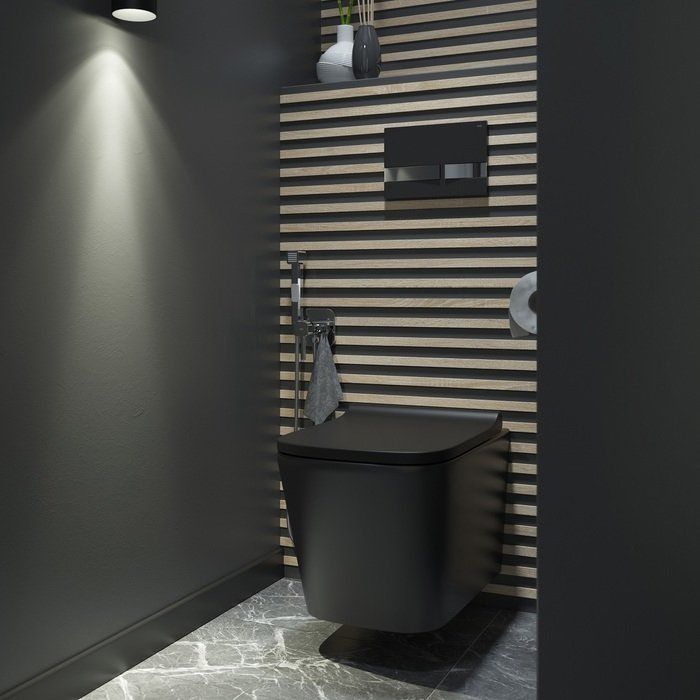 Купить Унитаз подвесной IDDIS Bild BILR2BMi25 безободковый, с микролифтом в Москве с доставкой Унитаз подвесной IDDIS Bild BILR2BMi25 безободковый, с микролифтом