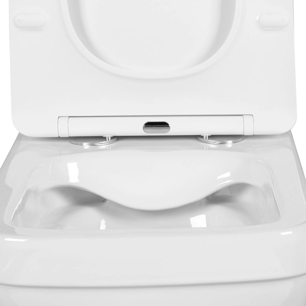 Купить Унитаз-компакт напольный с бачком и сиденьем микролифт Aquatek Амадео AQ2914-00 безободковый в Москве с доставкой Унитаз-компакт напольный с бачком и сиденьем микролифт Aquatek Амадео AQ2914-00 безободковый