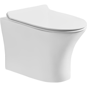 Унитаз подвесной Ceruttispa Bernina Aria 7191 безободковый, с микролифтом Унитаз подвесной Ceruttispa Bernina Aria 7191 безободковый, с микролифтом