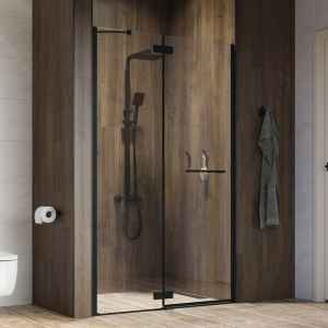 Душевая дверь в нишу IDDIS Slide SLI6BH1i69 110 см