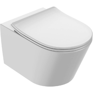 Унитаз подвесной Jacob Delafon Bastille EDAB102-00 безободковый Унитаз подвесной Jacob Delafon Bastille EDAB102-00 безободковый