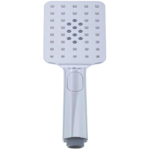 Душевая лейка Paini Ravenna RVCR155