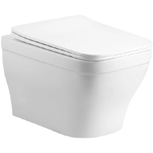 Унитаз подвесной с сиденьем микролифт Aquatek Амадео AQ1180-00 безободковый