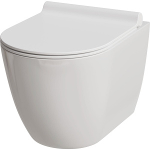 Унитаз подвесной Damixa Apollo DX22C1700SC с микролифтом, безободковый