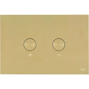 Кнопка смыва OLI Blink 878781 золото, антивандальная