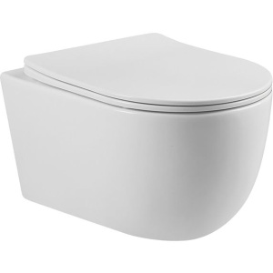 Унитаз подвесной BOND Oval F10-10 безободковый, с микролифтом Унитаз подвесной BOND Oval F10-10 безободковый, с микролифтом