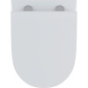 Купить Унитаз подвесной IDDIS Stone STORDSEi25 в Москве с доставкой Унитаз подвесной IDDIS Stone STORDSEi25