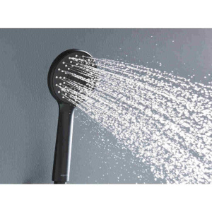 Душевая лейка Aquatek Бетта 102 AQ2009MB черный