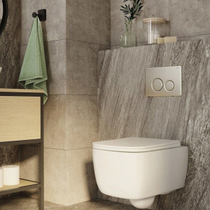 Купить Кнопка смыва IDDIS Unisteel UNS10S0i77 нержавеющая сталь в Москве с доставкой Кнопка смыва IDDIS Unisteel UNS10S0i77 нержавеющая сталь