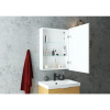 Зеркало-шкаф CONTINENT Allure R 60х80 с подсветкой