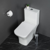 Унитаз-моноблок BelBagno Neon BB8617CPR-MN/SC безободковый, с микролифтом