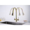 Смеситель для кухни Paulmark Lange 214212-G, золото