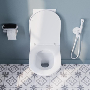 Унитаз подвесной IDDIS Zodiac ZDCRDSEi25 безободковый, с микролифтом