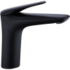 Смеситель для раковины Rush Nevis NE1735-12black