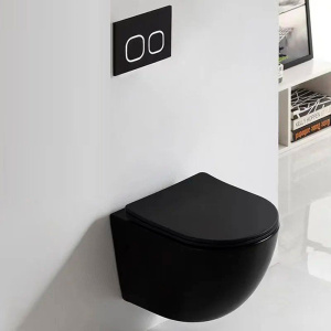 Купить Унитаз подвесной Ceruttispa Ticino Aria 8918 MB безободковый, с микролифтом, черная матовая в Москве с доставкой Унитаз подвесной Ceruttispa Ticino Aria 8918 MB безободковый, с микролифтом, черная матовая