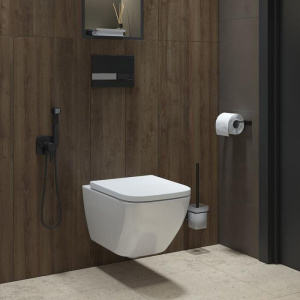 Унитаз подвесной IDDIS Torr TORRDSEi25 безободковый, с микролифтом