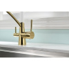 Смеситель для кухни Paulmark Siegen Si213111-Gw, золото, с гибким изливом