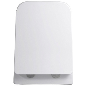 Унитаз подвесной с сиденьем микролифт Aquatek Амадео AQ1163-00 безободковый