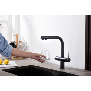 Смеситель для кухни Aquatek Европа AQ1385MB черный