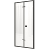 Душевая дверь в нишу Ceruttispa Bella D101B 100 см, профиль черный