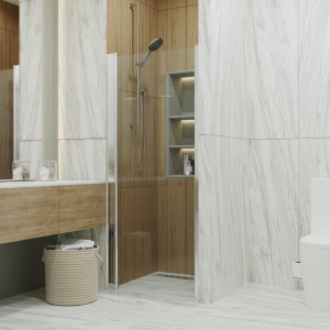 Душевая дверь в нишу Triton Уно Щ0000036858 90