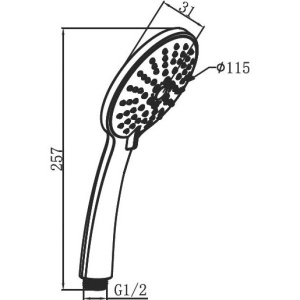 Душевая лейка AM.PM Spirit V2.0 F0270064