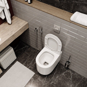 Купить Унитаз подвесной Ceruttispa Tanaro Aria 9236 MW безободковый, с микролифтом, белый матовый в Москве с доставкой Унитаз подвесной Ceruttispa Tanaro Aria 9236 MW безободковый, с микролифтом, белый матовый