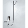Термостатический смеситель Hansgrohe Ecostat Select 13161000 для душа