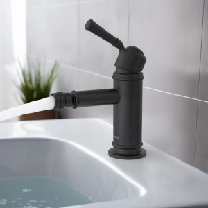 Смеситель для биде Aquatek Классик AQ1518MB черный