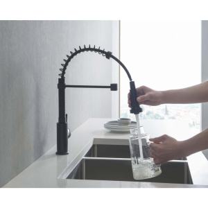 Смеситель для кухни Aquatek Европа AQ1387MB черный