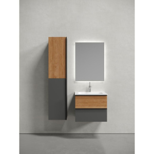 Купить Тумба с раковиной Sancos Delta 60 дуб красный, графит в Москве с доставкой Тумба с раковиной Sancos Delta 60 дуб красный, графит