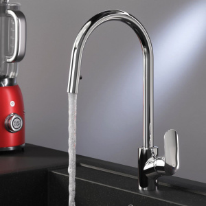 Смеситель для кухни AM.PM Like F8012000