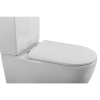 Унитаз-компакт BelBagno Amanda BB051CPR безободковый, крышка BB051-2SC с микролифтом, бачок BB051T