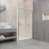 Душевая дверь в нишу RGW Passage PA-016 1400х1950 профиль хром, стекло прозрачное