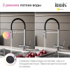 Смеситель для кухни IDDIS Ace ACESBFFi05 хром, с гибким изливом
