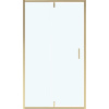 Душевая дверь в нишу Niagara Nova NG-43-12AG 120 см профиль золото, стекло прозрачное