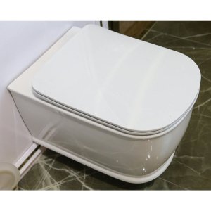 Унитаз подвесной BelBagno Prado BB10150CH безободковый, с микролифтом