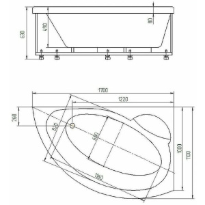 Акриловая ванна Aquatek Аякс 2 170х110 AYK170-0000085 левая, с фронтальным экраном (вклеенный каркас)