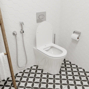 Купить Унитаз приставной Ceruttispa Adige F 8907 безободковый, с микролифтом в Москве с доставкой Унитаз приставной Ceruttispa Adige F 8907 безободковый, с микролифтом