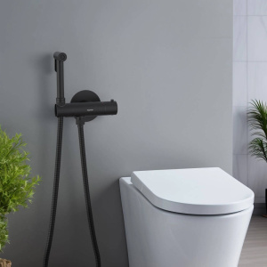 Купить Гигиенический душ со смесителем Aquatek Оберон AQ1027MB черный в Москве с доставкой Гигиенический душ со смесителем Aquatek Оберон AQ1027MB черный