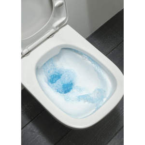 Купить Унитаз подвесной Jacob Delafon Vox EDM102 безободковый в Москве с доставкой Унитаз подвесной Jacob Delafon Vox EDM102 безободковый