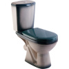 Унитаз-компакт Rosa Комфорт зелёный декор