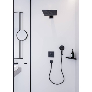 Душевая лейка Hansgrohe Raindance Select S 26530670 матовая черная