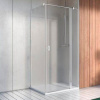 Душевой уголок Radaway Nes KDJ II 120x90 R